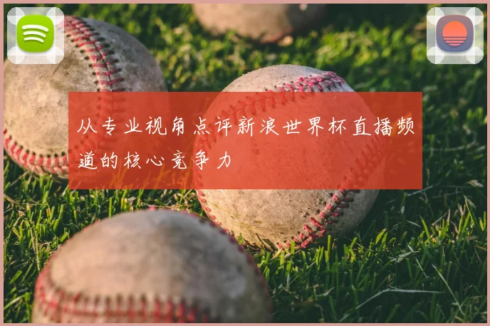 从专业视角点评新浪世界杯直播频道的核心竞争力