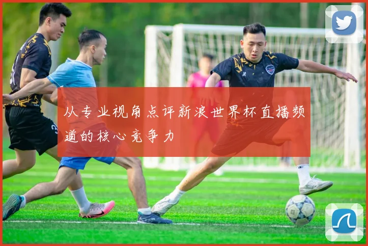 从专业视角点评新浪世界杯直播频道的核心竞争力